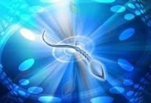 Robot hoạt động như tinh trùng Robot hoạt động như tinh trùng