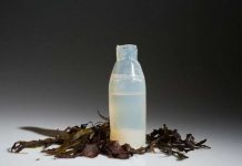 Ý tưởng chai nước làm từ thạch, phân hủy ngay sau khi sử dụng