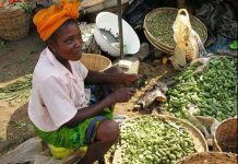 Một thế hệ nữa, châu Phi có thể tự nuôi mình