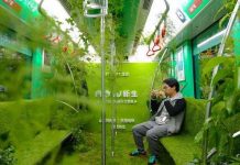 Trải nghiệm "một được hai": đi tàu điện còn được tham quan "rừng rậm"