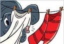 Bạn có tin: Voi có thể đánh hơi được ở khoảng cách hàng dặm?