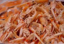 Vật liệu nhựa siêu bền, tự hủy được tạo ra từ vỏ tôm và tơ tằm