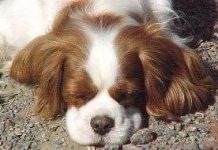 Những bí ẩn khoa học vui (phần 2)