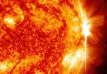 Mặt trời đã thức giấc Mặt trời đã thức giấc