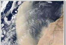 Bão bụi từ sa mạc Sahara làm số lượng phiêu sinh vật ở đông Đại Tây Dương bùng nổ Bão bụi từ sa mạc Sahara làm số lượng phiêu sinh vật ở đông Đại Tây Dương bùng nổ