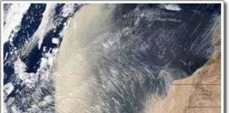 Bão bụi từ sa mạc Sahara làm số lượng phiêu sinh vật ở đông Đại Tây Dương bùng nổ