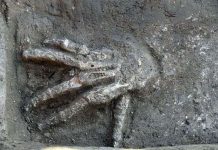 Tại sao chiến binh Ai Cập lại cắt tay phải kẻ thù? Tại sao chiến binh Ai Cập lại cắt tay phải kẻ thù?