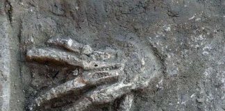 Tại sao chiến binh Ai Cập lại cắt tay phải kẻ thù?