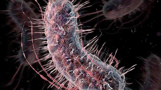 Các nhà khoa học đang tiến gần hơn tới việc viết lại “bộ mã cuộc sống”