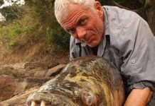 10 loài thủy quái nước ngọt nguy hiểm nhất trên thế giới