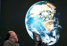 Dự báo đáng sợ: Con người bị xóa sổ trên Trái Đất trong 1000 năm tới Dự báo đáng sợ: Con người bị xóa sổ trên Trái Đất trong 1000 năm tới