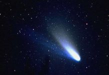 Nhân loại suýt diệt vong cách đây hơn 100 năm