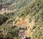 Bảo tồn đa dạng sinh học vùng Trung Trường Sơn