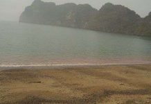 Thủy triều đỏ ở Hải Phòng Thủy triều đỏ ở Hải Phòng