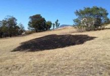 Cháy đồng cỏ do "lửa từ trên trời"