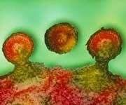 Phương thức tìm diệt tế bào nhiễm HIV bằng kháng thể đánh dấu phóng xạ