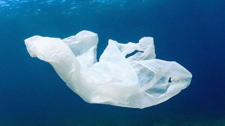 Phát hiện thêm một loại vi khuẩn “ăn” nhựa mới