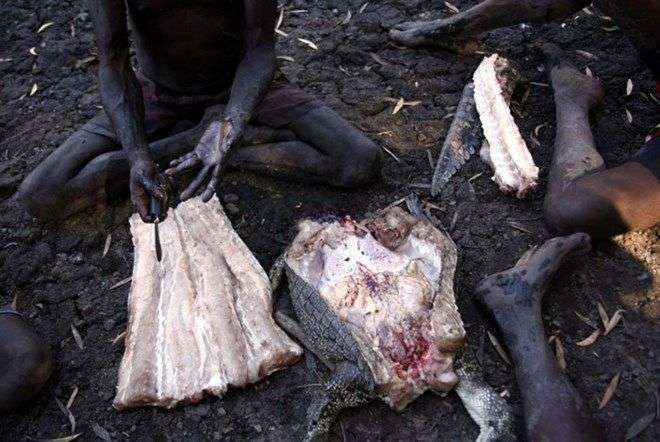 Bộ tộc 60 ngàn năm săn lùng cá sấu trong rừng thẳm