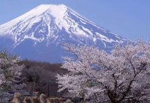 Núi Phú Sĩ có thể đổ sập trong động đất