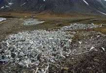 Khủng khiếp với bãi biển xương trắng