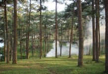 Đà Lạt đang nóng dần lên Đà Lạt đang nóng dần lên