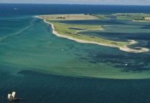 Hòn đảo mới đột ngột ngoi lên ở Đức