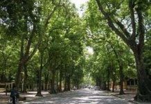 Bắc Bộ trời nắng, nhiệt độ có thể lên đến 34 độ C