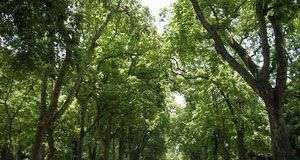 Bắc Bộ trời nắng, nhiệt độ có thể lên đến 34 độ C