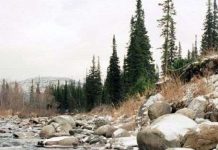 "Người lông lá" ẩn hiện liên tiếp tại Nga