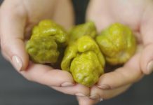 Loại ớt cay đến nỗi chỉ cắn 1 phát thôi, đây sẽ là bữa ăn cuối cùng của bạn Loại ớt cay đến nỗi chỉ cắn 1 phát thôi, đây sẽ là bữa ăn cuối cùng của bạn