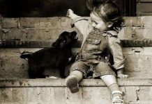 Chó nhận biết được nụ cười