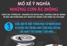 Mổ xẻ ý nghĩa những cơn ác mộng bạn thường gặp