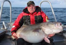 Cụ ông người Anh câu được cá tuyết 42 kg