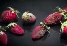 Vi khuẩn làm hỏng thức ăn ra sao?