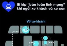 Xem nhanh bí kíp chọn chỗ ngồi an toàn khi ô tô gặp nạn