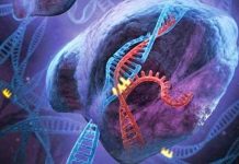 10 công nghệ tạo đột phá trong năm 2016