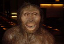 Phát hiện mới về người tiền sử