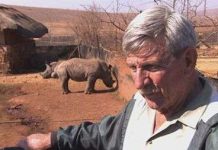 Nam Phi tẩm độc vào sừng tê giác