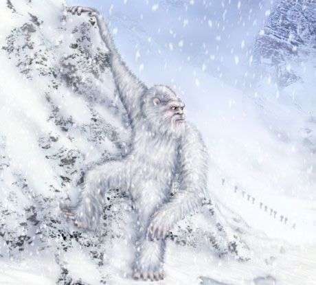 Tranh cãi về lông của người tuyết