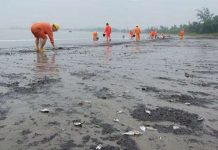 Vịnh Hạ Long ô nhiễm dầu nặng nhất cả nước