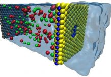 Màng nano biến nước mặn thành nước ngọt siêu hiệu quả Màng nano biến nước mặn thành nước ngọt siêu hiệu quả