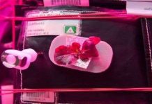 Những thí nghiệm có thể đưa con người lên sao Hỏa