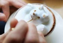 Tạo hình 3D tuyệt đẹp từ bọt sữa trên tách cà phê