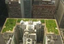 Mái nhà “xanh” và cuộc chiến Trái đất nóng lên Mái nhà “xanh” và cuộc chiến Trái đất nóng lên