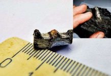 10 đồ vật nghi liên quan tới người ngoài hành tinh