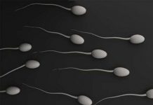 9 điều bạn chưa từng biết về tinh trùng 9 điều bạn chưa từng biết về tinh trùng