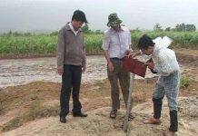 Bùn phun trào ở Ninh Thuận có thể tắm được