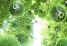 Phát minh cỗ máy sản xuất khí oxy thế hệ mới Phát minh cỗ máy sản xuất khí oxy thế hệ mới