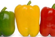 Top các loại ớt cay nhất trên thế giới