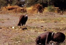 Sự thật đau lòng sau bức ảnh kền kền đợi ăn thịt em bé